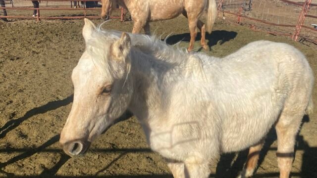 76161230244__81D63A56-234B-4041-841B-34151DE7E91D