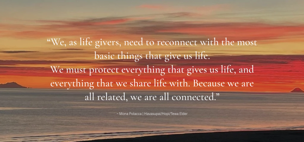 Screenshot 2025-12-16 at 12.35.11 PM