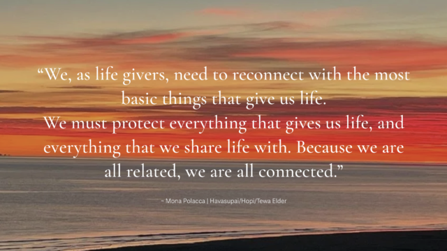 Screenshot 2025-12-16 at 12.35.11 PM