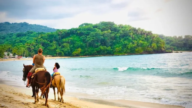 1_0J5pKsr2z_zHBgblOP345w